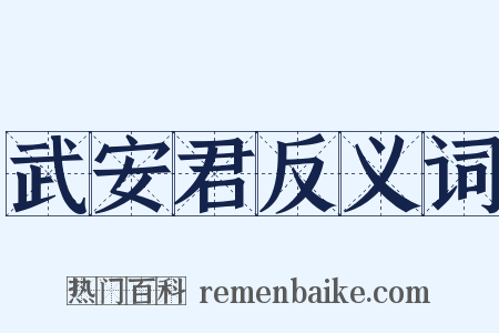 武安君反义词是什么意思的图片